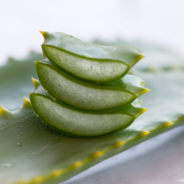 Aloe